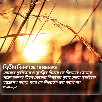 দ্বিতীয় বিৱৰণ 25:18 BENIRV Bible Verse Image