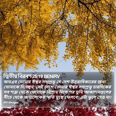 দ্বিতীয় বিৱৰণ 25:19 BENIRV Bible Verse Image
