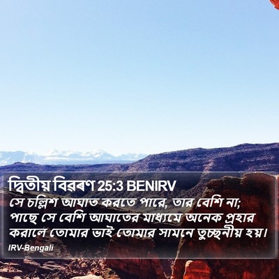 দ্বিতীয় বিৱৰণ 25:3 BENIRV Bible Verse Image
