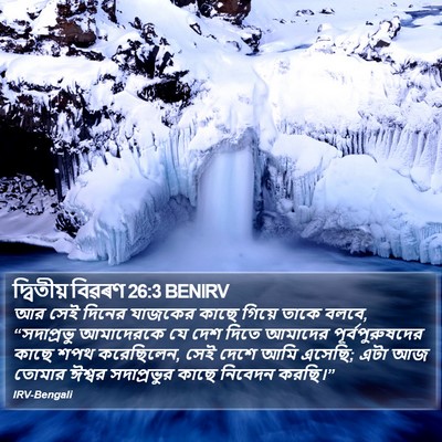 দ্বিতীয় বিৱৰণ 26:3 BENIRV Bible Verse Image