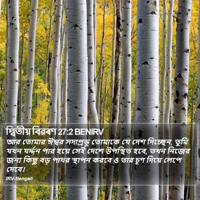 দ্বিতীয় বিৱৰণ 27:2 BENIRV Bible Verse Image