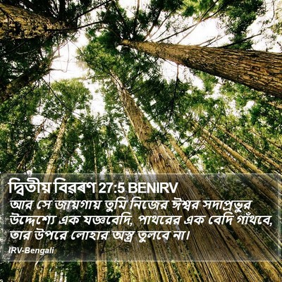 দ্বিতীয় বিৱৰণ 27:5 BENIRV Bible Verse Image