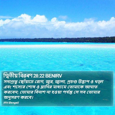 দ্বিতীয় বিৱৰণ 28:22 BENIRV Bible Verse Image