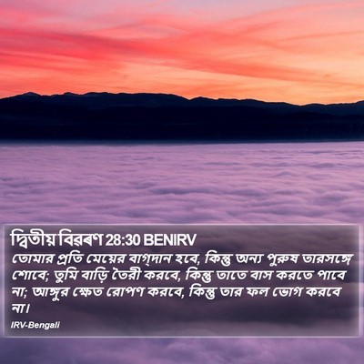 দ্বিতীয় বিৱৰণ 28:30 BENIRV Bible Verse Image