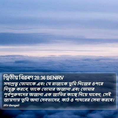 দ্বিতীয় বিৱৰণ 28:36 BENIRV Bible Verse Image