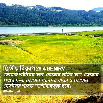 দ্বিতীয় বিৱৰণ 28:4 BENIRV Bible Verse Image