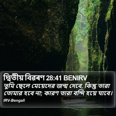 দ্বিতীয় বিৱৰণ 28:41 BENIRV Bible Verse Image