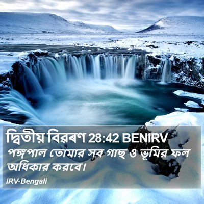 দ্বিতীয় বিৱৰণ 28:42 BENIRV Bible Verse Image