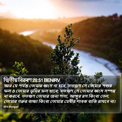 দ্বিতীয় বিৱৰণ 28:51 BENIRV Bible Verse Image