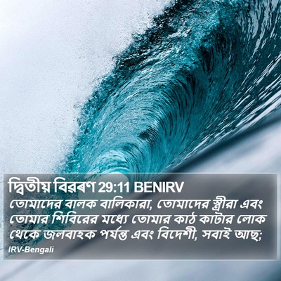 দ্বিতীয় বিৱৰণ 29:11 BENIRV Bible Verse Image