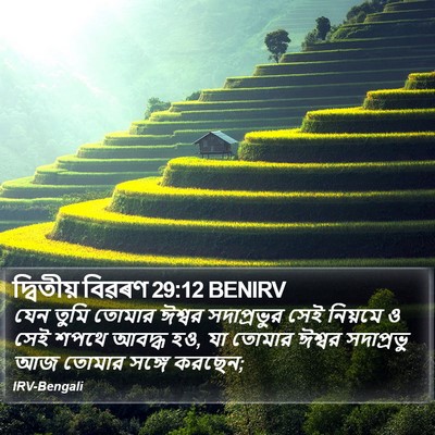 দ্বিতীয় বিৱৰণ 29:12 BENIRV Bible Verse Image