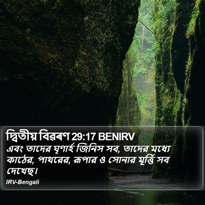 দ্বিতীয় বিৱৰণ 29:17 BENIRV Bible Verse Image