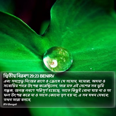 দ্বিতীয় বিৱৰণ 29:23 BENIRV Bible Verse Image