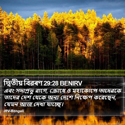 দ্বিতীয় বিৱৰণ 29:28 BENIRV Bible Verse Image