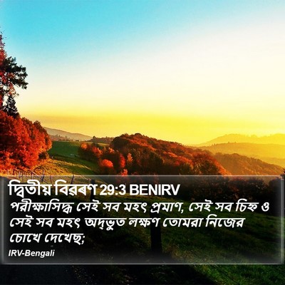 দ্বিতীয় বিৱৰণ 29:3 BENIRV Bible Verse Image