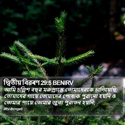 দ্বিতীয় বিৱৰণ 29:5 BENIRV Bible Verse Image