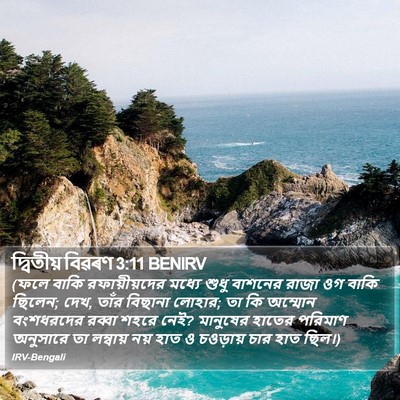 দ্বিতীয় বিৱৰণ 3:11 BENIRV Bible Verse Image