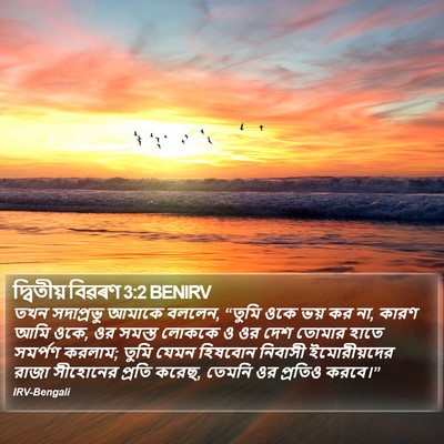 দ্বিতীয় বিৱৰণ 3:2 BENIRV Bible Verse Image
