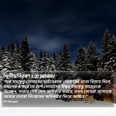 দ্বিতীয় বিৱৰণ 3:20 BENIRV Bible Verse Image
