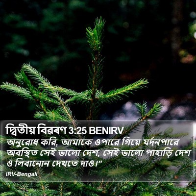 দ্বিতীয় বিৱৰণ 3:25 BENIRV Bible Verse Image