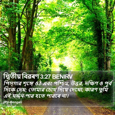 দ্বিতীয় বিৱৰণ 3:27 BENIRV Bible Verse Image