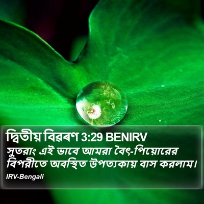 দ্বিতীয় বিৱৰণ 3:29 BENIRV Bible Verse Image