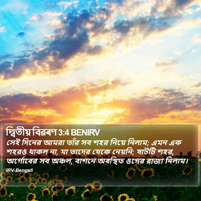 দ্বিতীয় বিৱৰণ 3:4 BENIRV Bible Verse Image