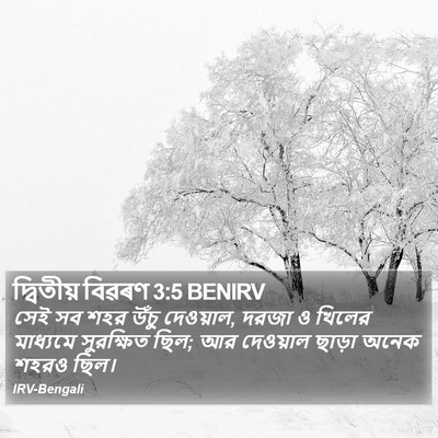 দ্বিতীয় বিৱৰণ 3:5 BENIRV Bible Verse Image