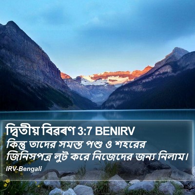 দ্বিতীয় বিৱৰণ 3:7 BENIRV Bible Verse Image