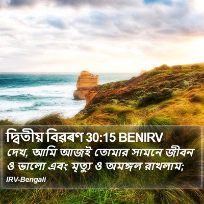 দ্বিতীয় বিৱৰণ 30:15 BENIRV Bible Verse Image