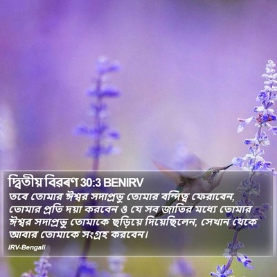 দ্বিতীয় বিৱৰণ 30:3 BENIRV Bible Verse Image