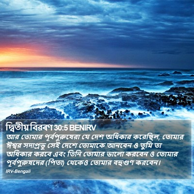 দ্বিতীয় বিৱৰণ 30:5 BENIRV Bible Verse Image