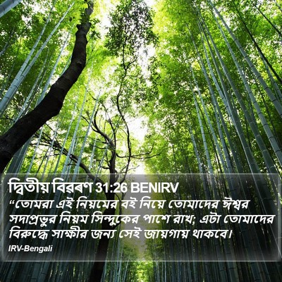 দ্বিতীয় বিৱৰণ 31:26 BENIRV Bible Verse Image