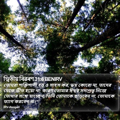 দ্বিতীয় বিৱৰণ 31:6 BENIRV Bible Verse Image