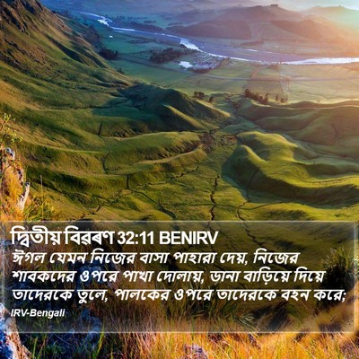 দ্বিতীয় বিৱৰণ 32:11 BENIRV Bible Verse Image