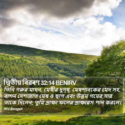 দ্বিতীয় বিৱৰণ 32:14 BENIRV Bible Verse Image