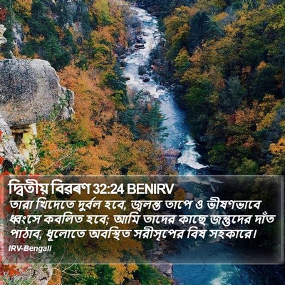 দ্বিতীয় বিৱৰণ 32:24 BENIRV Bible Verse Image