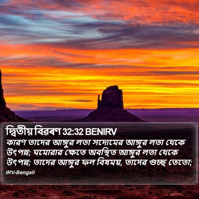 দ্বিতীয় বিৱৰণ 32:32 BENIRV Bible Verse Image