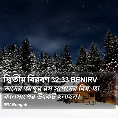 দ্বিতীয় বিৱৰণ 32:33 BENIRV Bible Verse Image