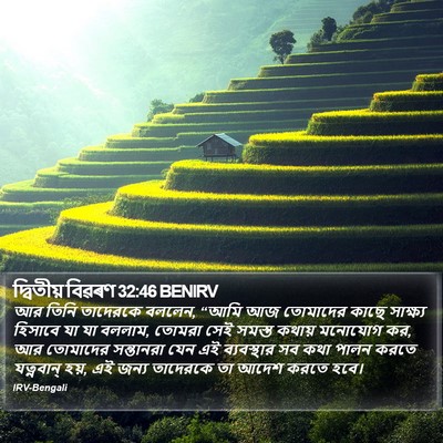 দ্বিতীয় বিৱৰণ 32:46 BENIRV Bible Verse Image