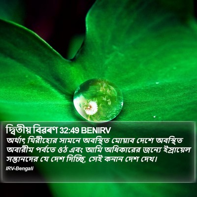 দ্বিতীয় বিৱৰণ 32:49 BENIRV Bible Verse Image