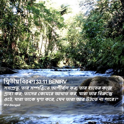 দ্বিতীয় বিৱৰণ 33:11 BENIRV Bible Verse Image