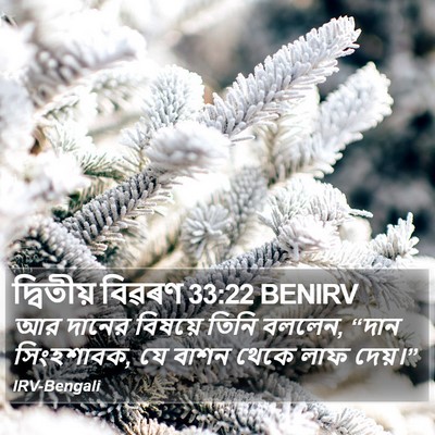 দ্বিতীয় বিৱৰণ 33:22 BENIRV Bible Verse Image