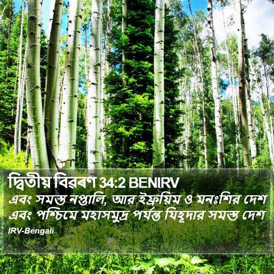 দ্বিতীয় বিৱৰণ 34:2 BENIRV Bible Verse Image