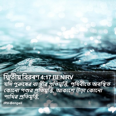 দ্বিতীয় বিৱৰণ 4:17 BENIRV Bible Verse Image