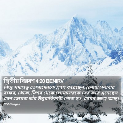 দ্বিতীয় বিৱৰণ 4:20 BENIRV Bible Verse Image