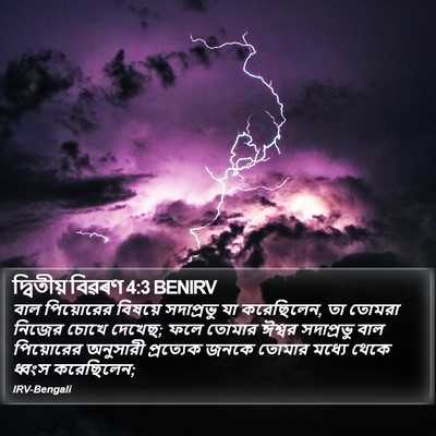 দ্বিতীয় বিৱৰণ 4:3 BENIRV Bible Verse Image