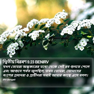 দ্বিতীয় বিৱৰণ 5:23 BENIRV Bible Verse Image