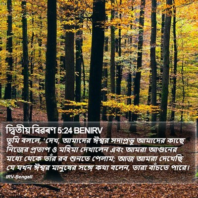 দ্বিতীয় বিৱৰণ 5:24 BENIRV Bible Verse Image