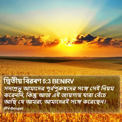 দ্বিতীয় বিৱৰণ 5:3 BENIRV Bible Verse Image